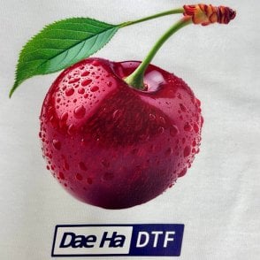 DH Instant Hot Peel DTF Film